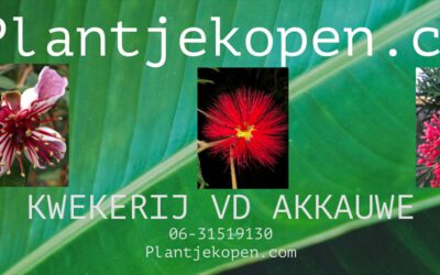 plantjekopen.com